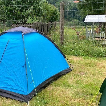 Camping F Selbstversorger Gut Jagerhof Semriach Exterior foto